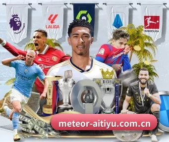meteor-aitiyu.com.cn APP